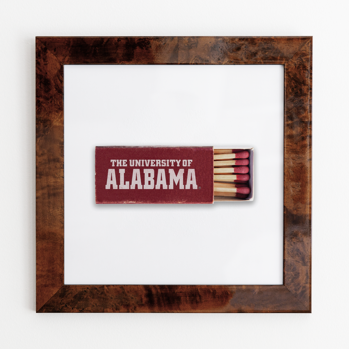 University of Alabama Vol. 1
