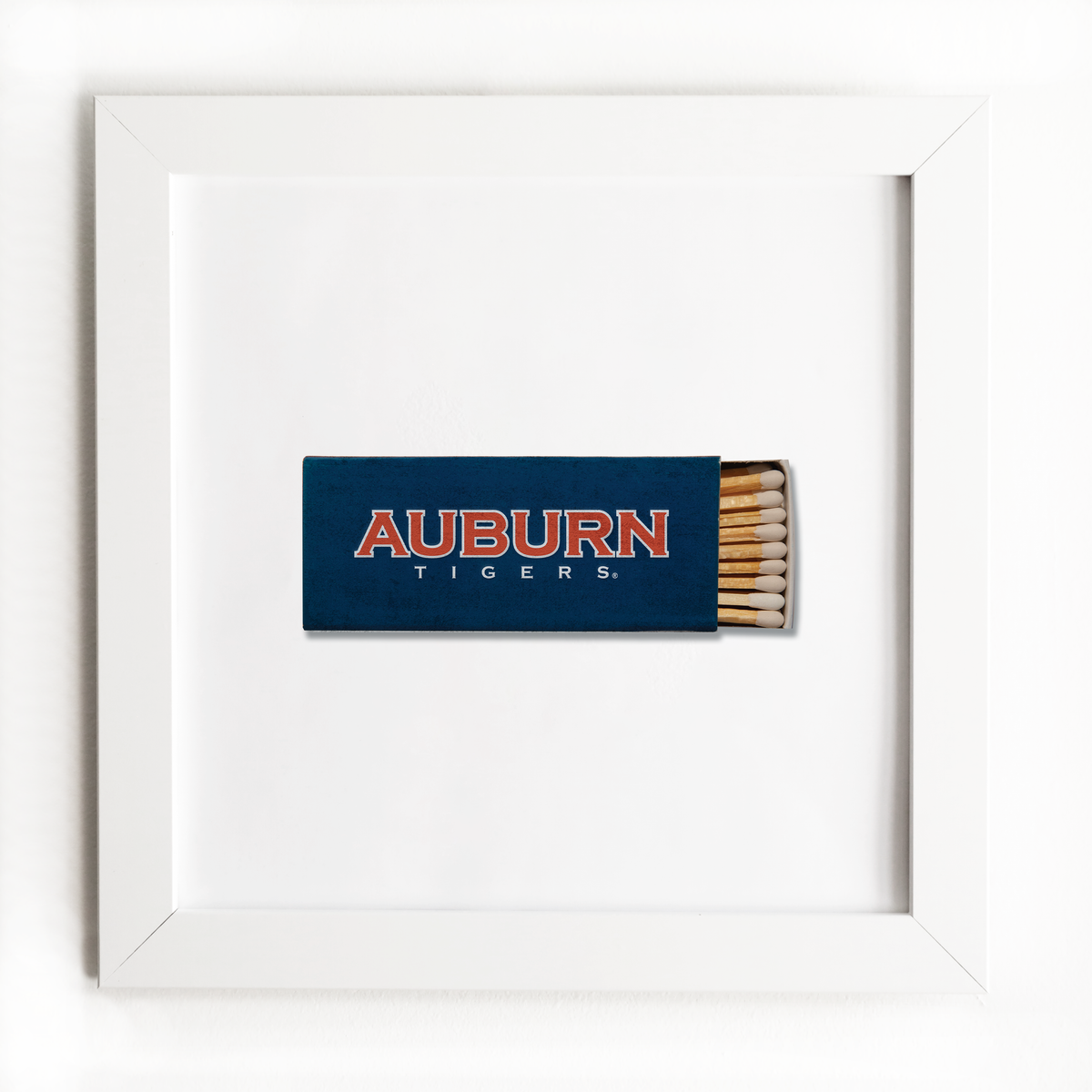 Auburn University Vol. 1