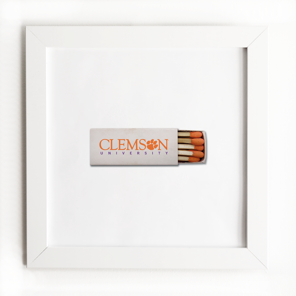 Clemson University Vol. 1