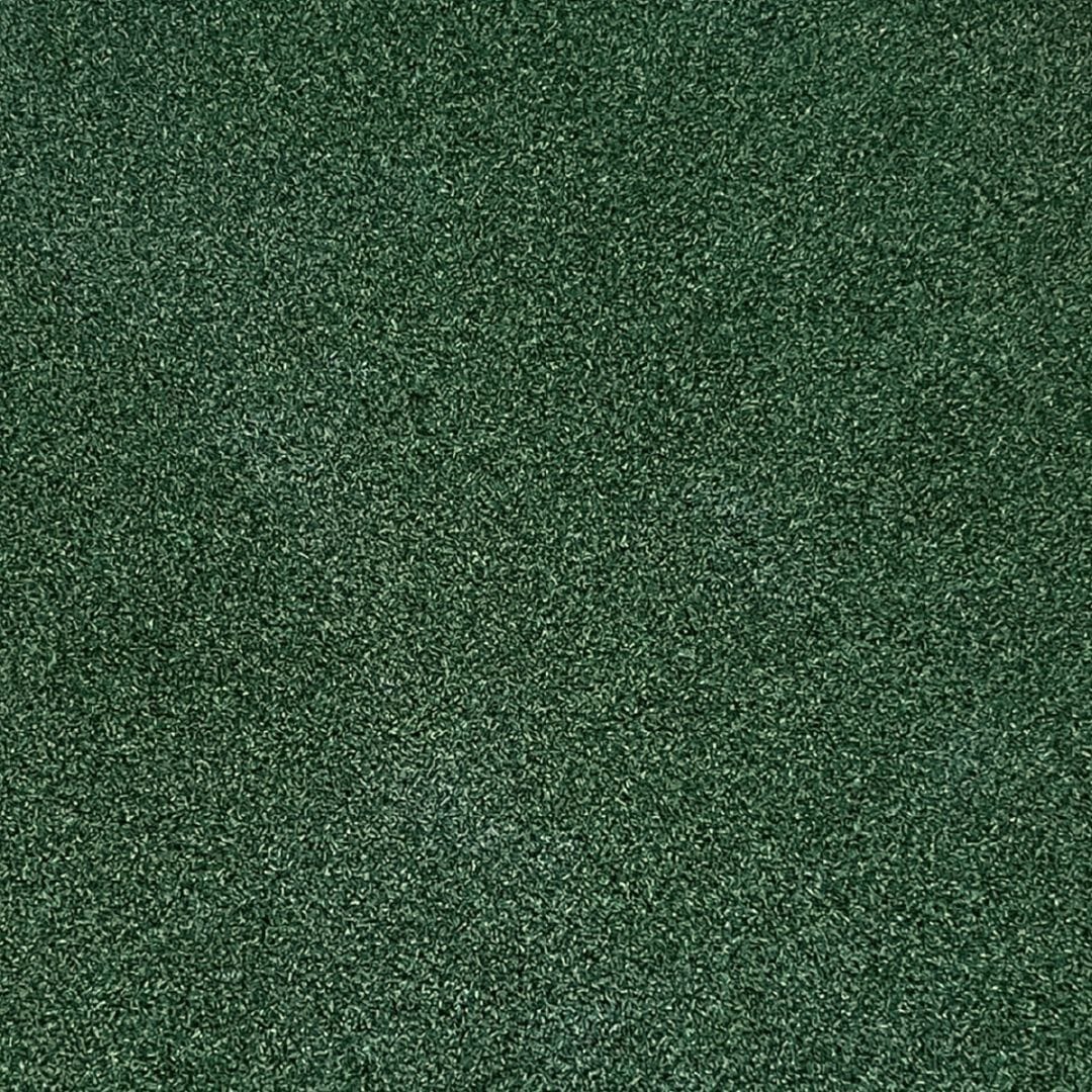 TIGS Money Putt Golf Turf